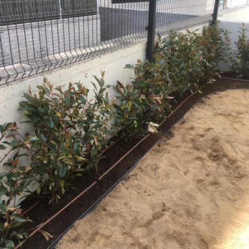 .Construcción jardineras, plantación e instalación de riego por goteo.