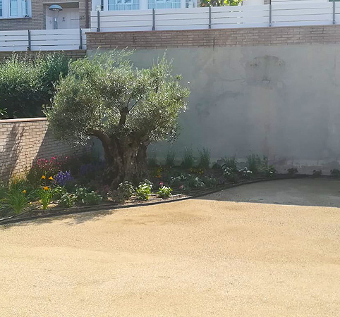 .Realització de reg gota a gota per a jardineres i parterres.