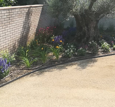 .Separador de pvc per a olivera i plantes.