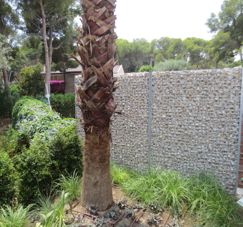 .Construcció de gabions amb pedra decorativa.