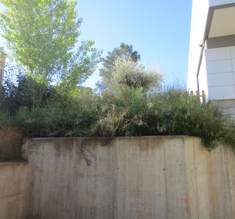 .Abans de la construcció de jardineres amb travesses a diferent nivell.