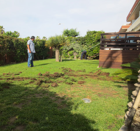 .Preparación del terreno.