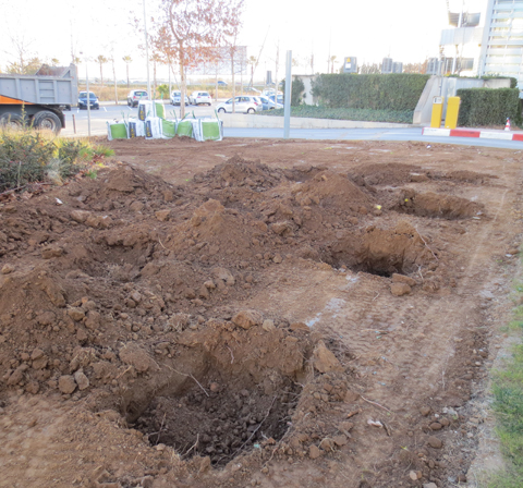 .Preparación del terreno.