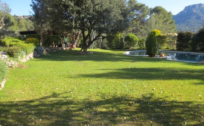 .Jardí Original.