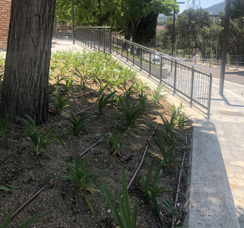 .Obra de jardineria en urbanización.