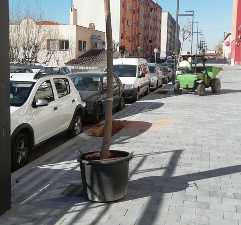 .Obra de jardineria en urbanización.