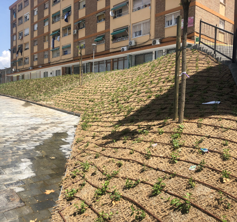 .Obra de jardineria en urbanización.