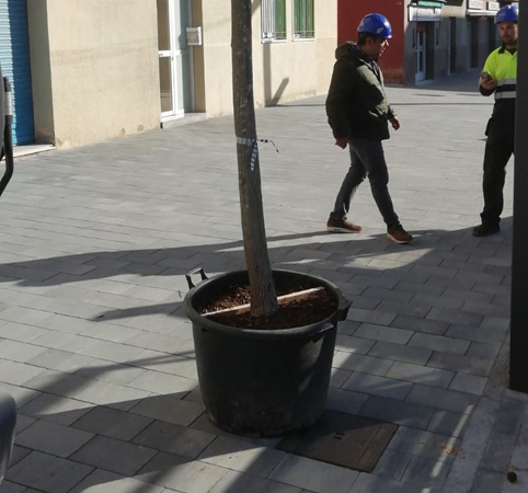 .Obra de jardineria en urbanización.