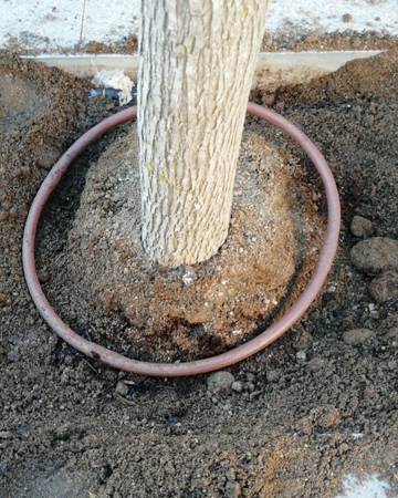 .Obra de jardineria en urbanización.