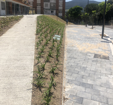 .Obra de jardineria en urbanización.